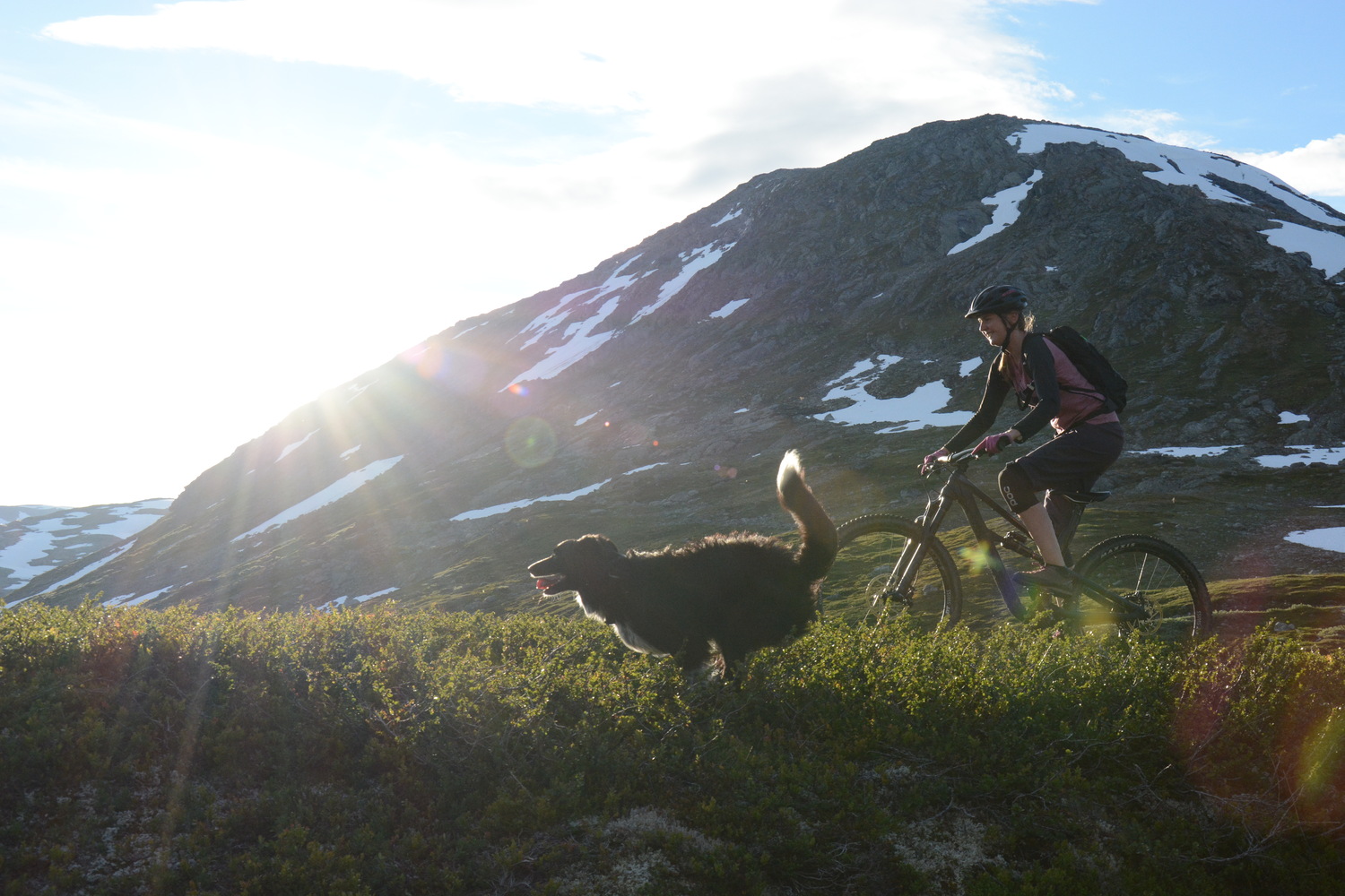 Činta valí borůvkama